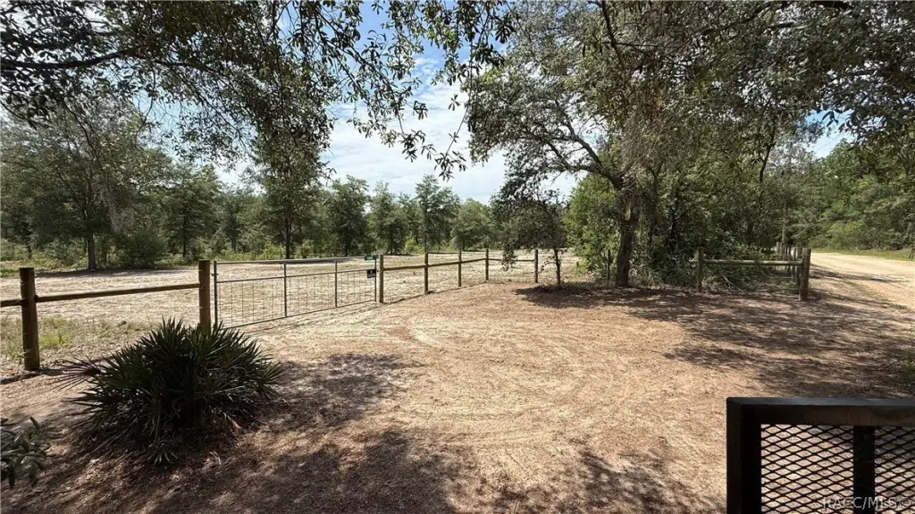 Picture 13
