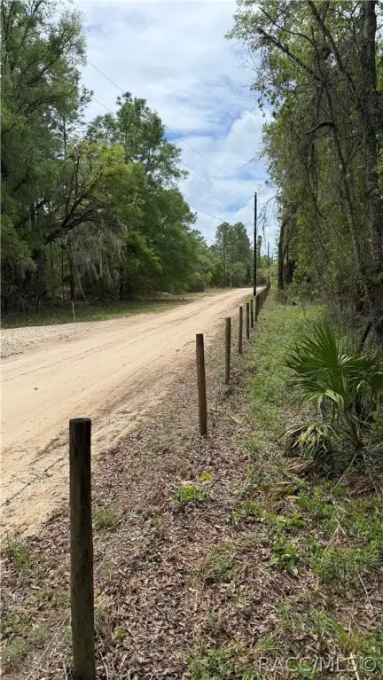 Picture 16