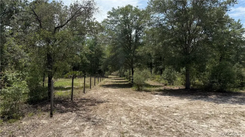 Picture 7