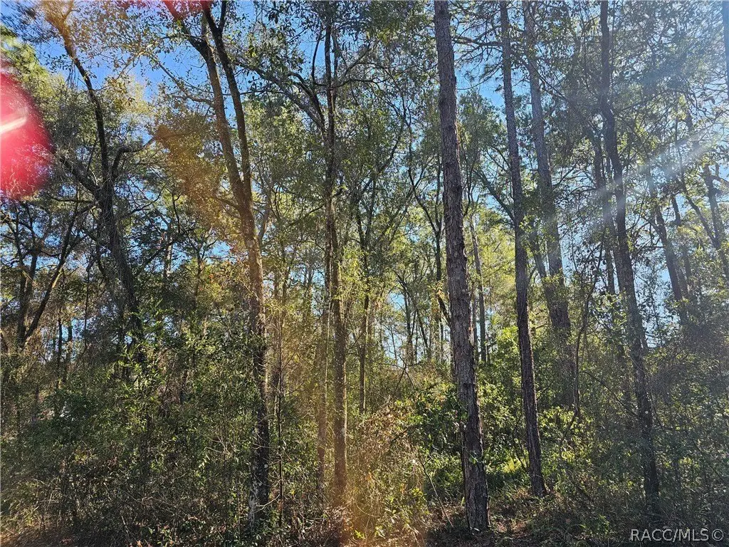 Picture 2