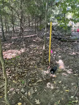 Residential Lots Near Bull Shoals