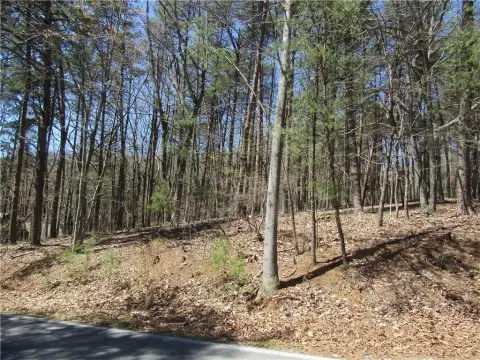 Wooded Corner Lot in Big Canoe