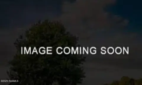 305 Acres in Intracoastal City