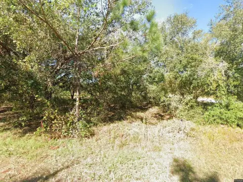 Residential Lot in Kissimmee, FL