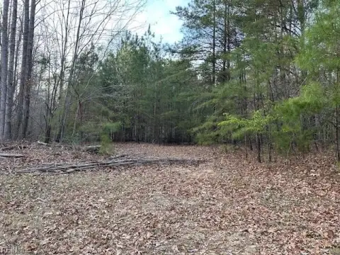 Private Wooded Lot with Water Views