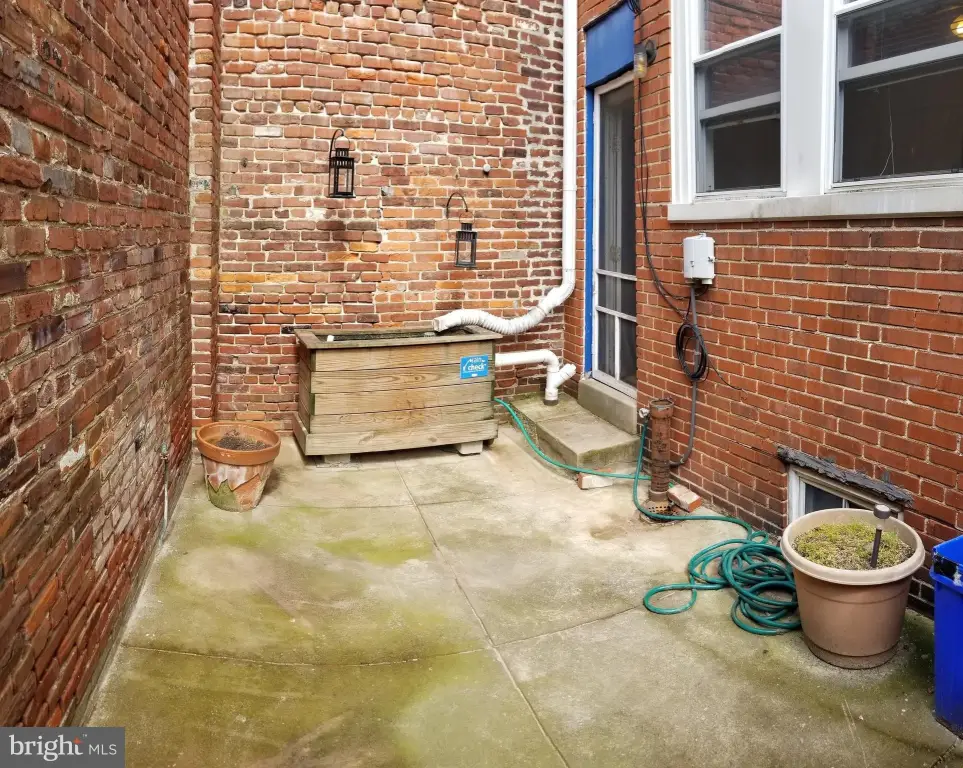 Picture 21