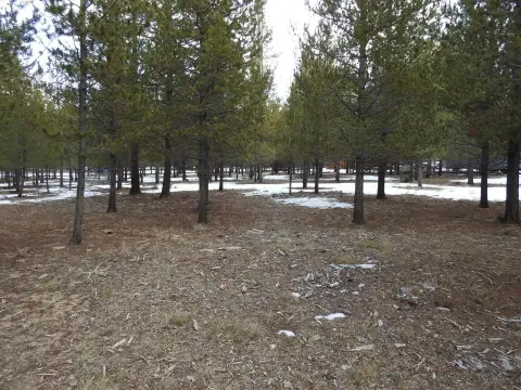 Residential Lots in La Pine
