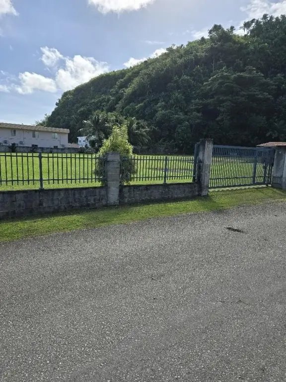 Picture 5