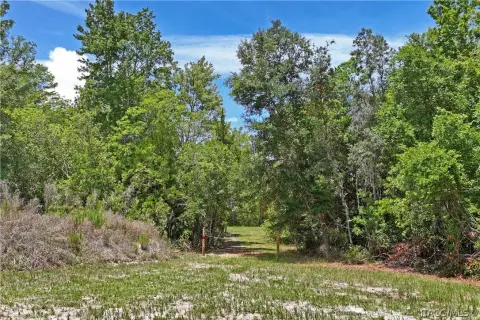 Land Near Crystal River