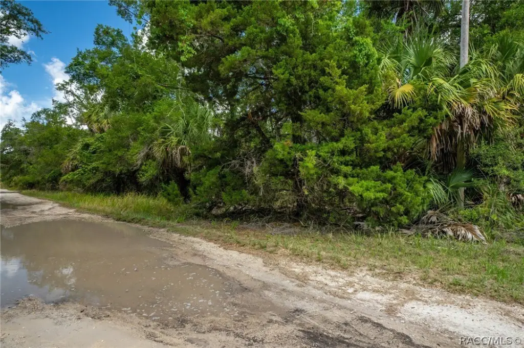 Picture 14
