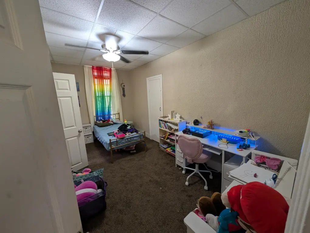 Picture 5