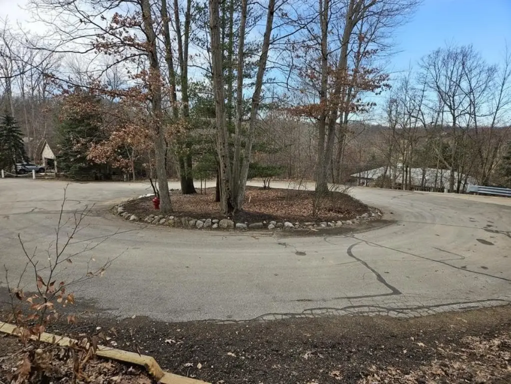 Picture 5