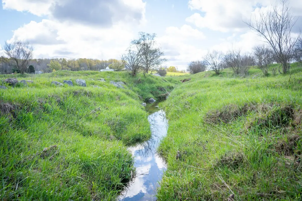 Picture 38