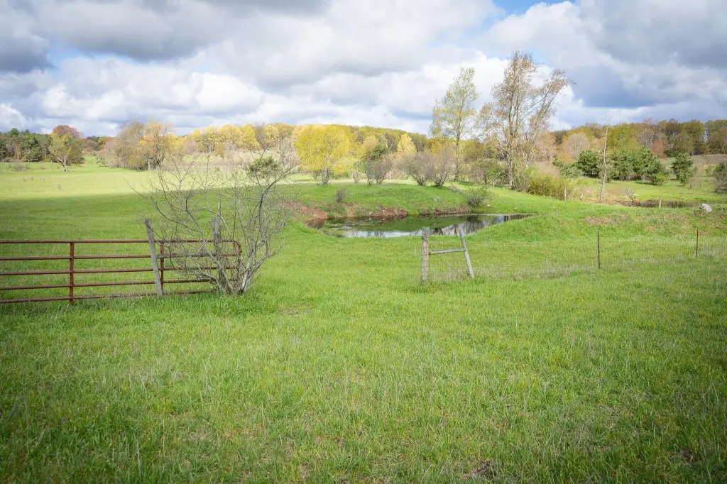 Picture 24
