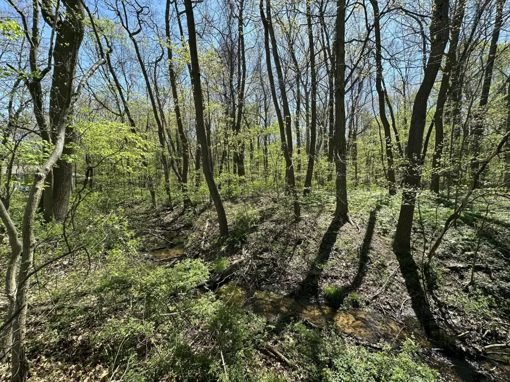 Picture 6