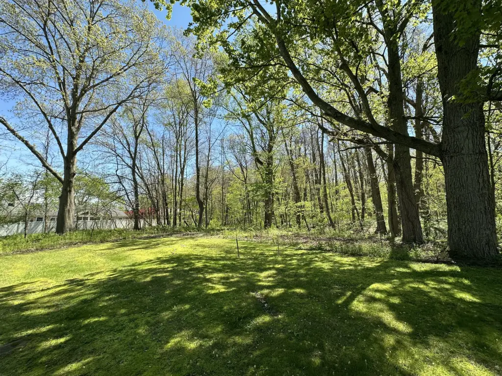 Picture 3