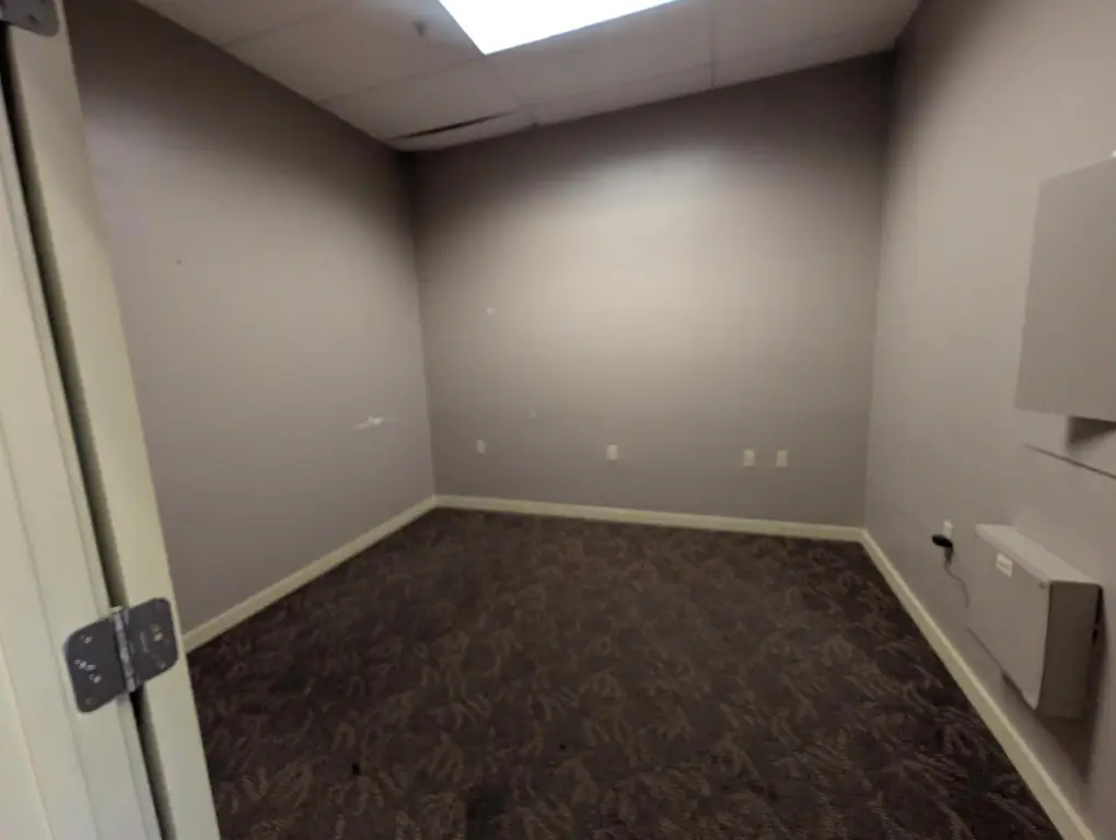 Picture 5