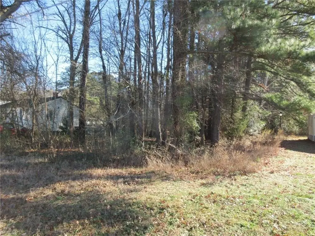 Picture 2