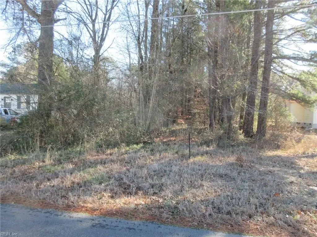 Picture 3