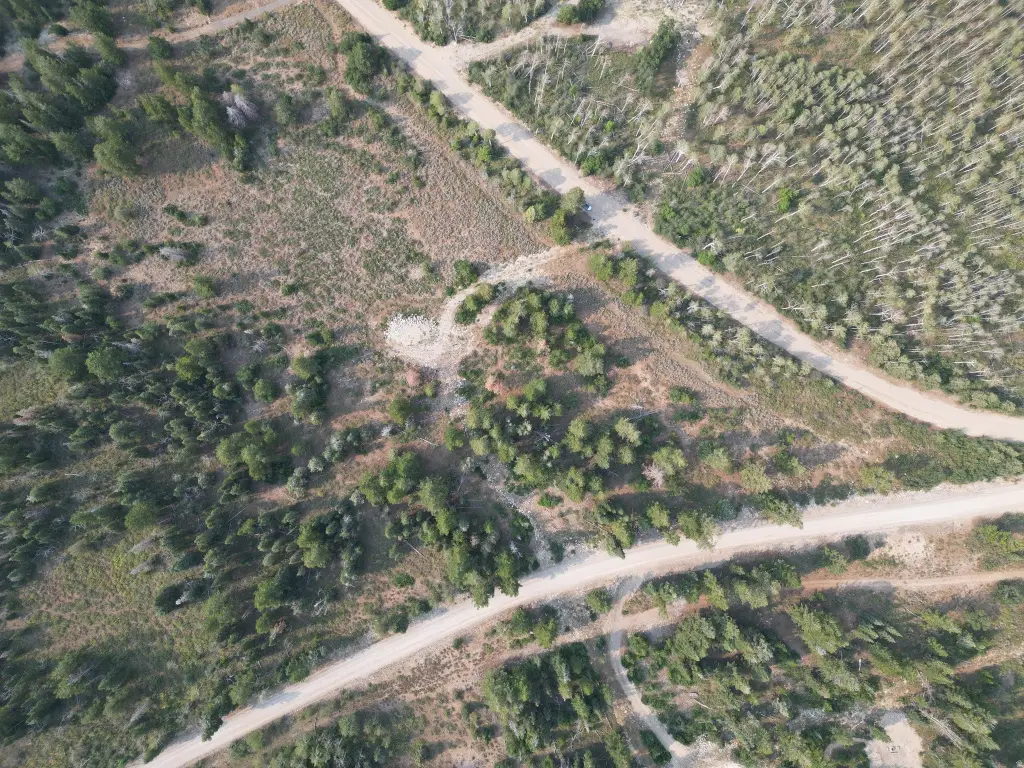Picture 2