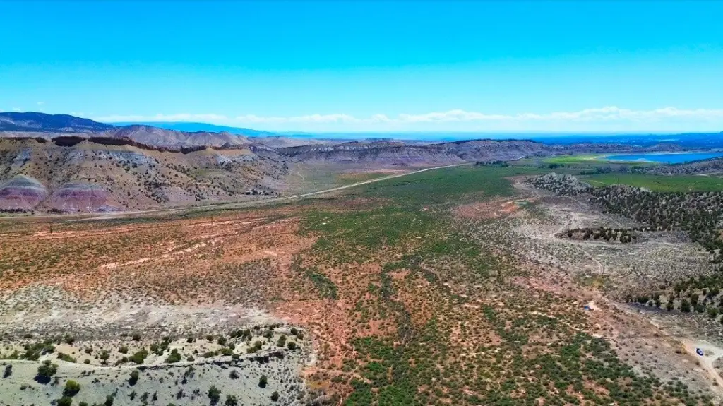 Picture 4
