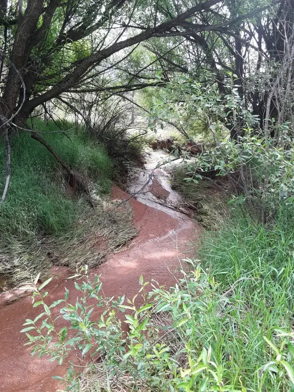 Picture 14