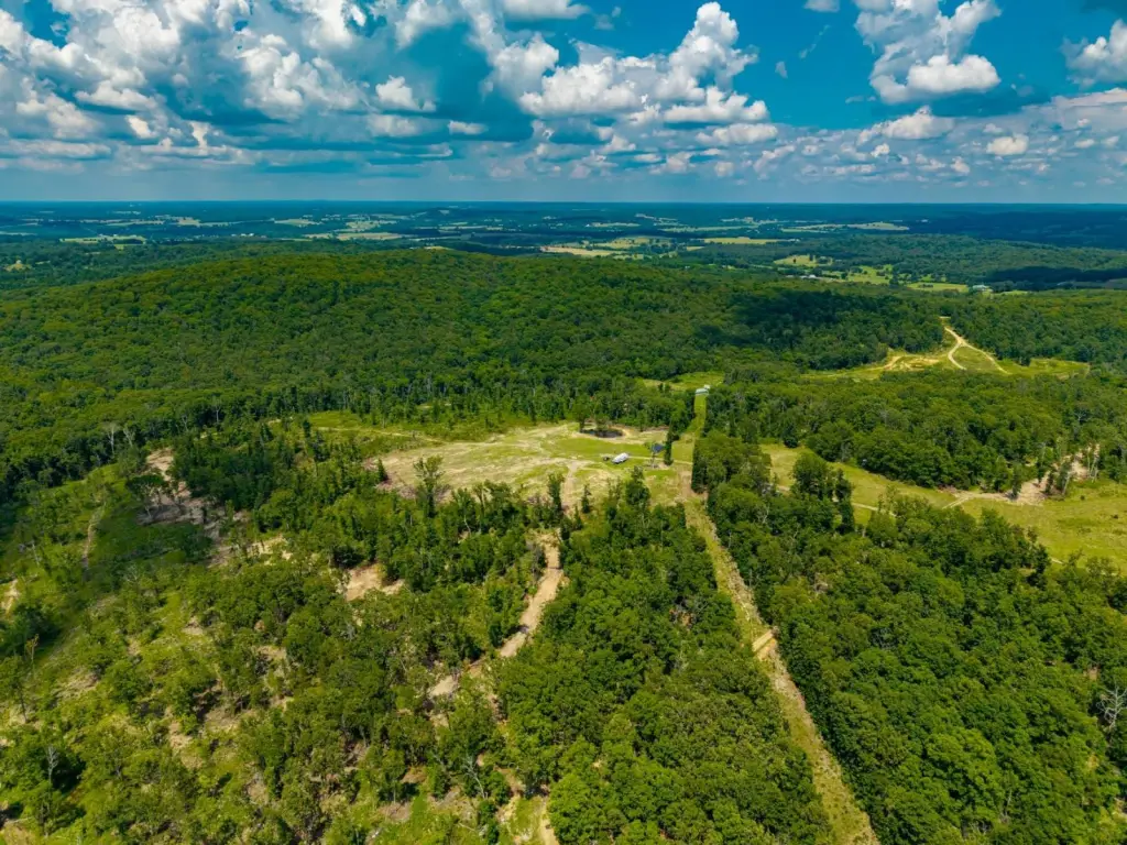 Picture 7
