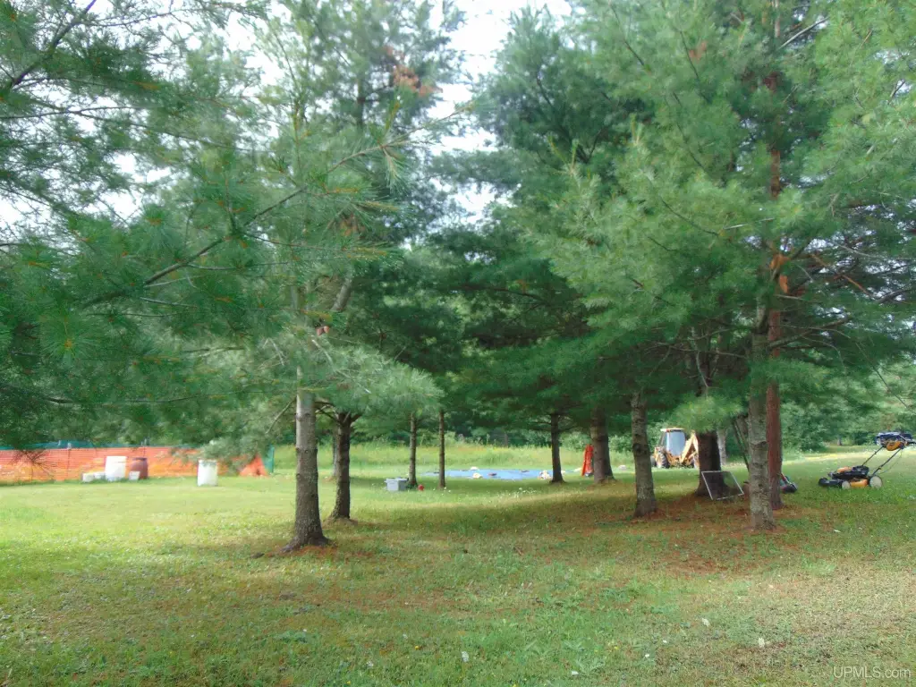 Picture 41