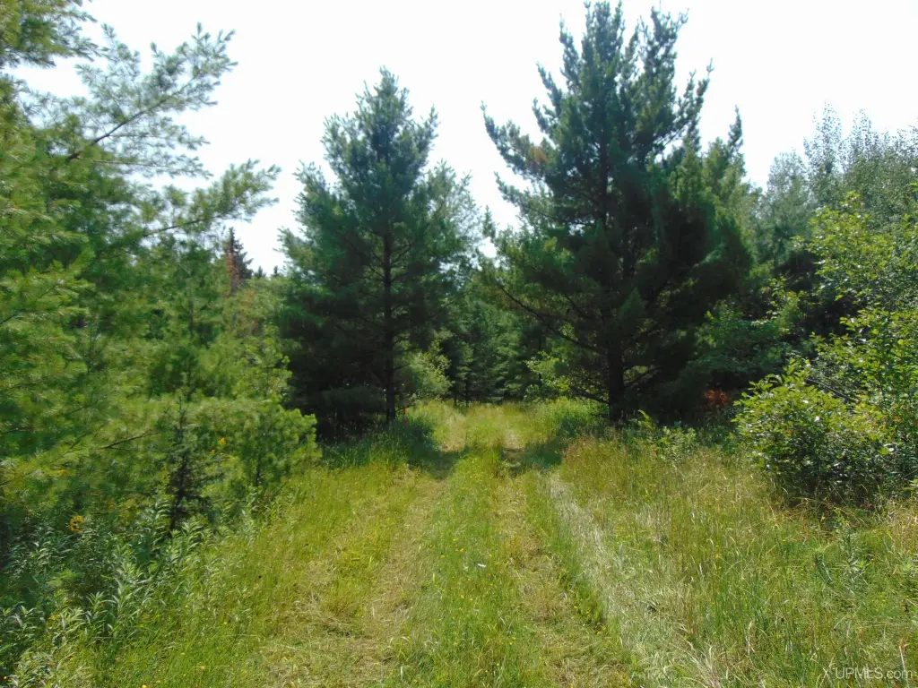Picture 27