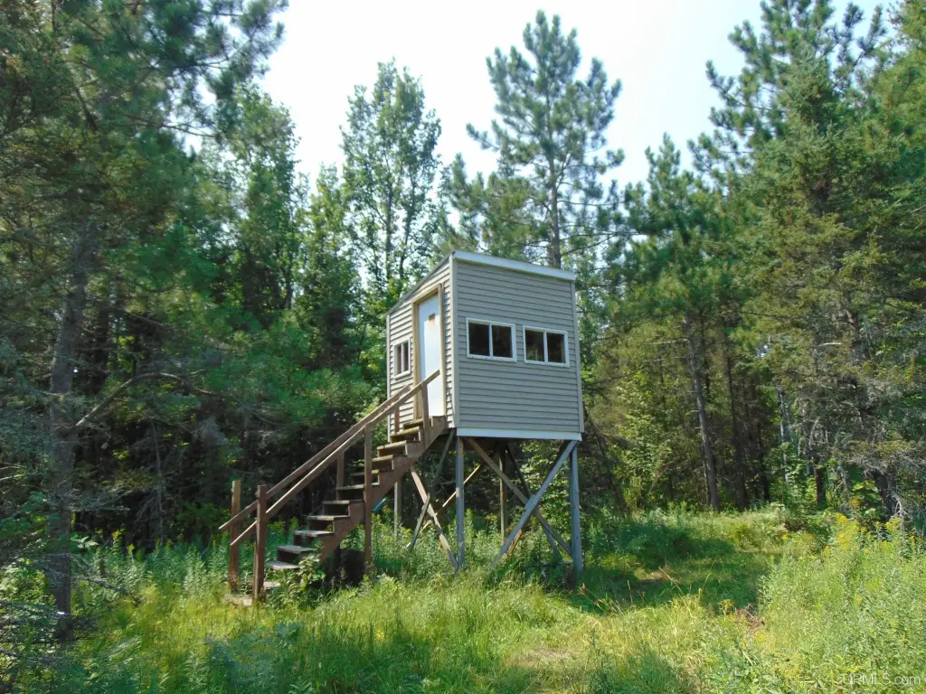Picture 12