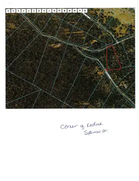 Residential Lots in Klamath Forest