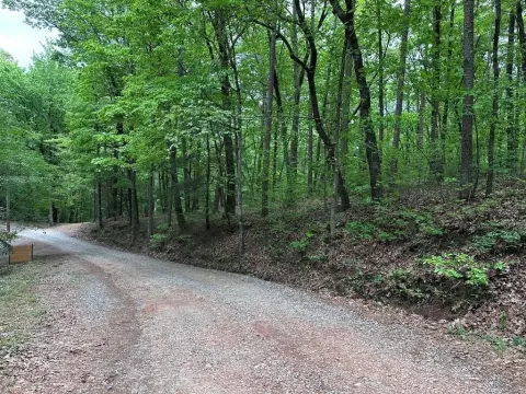 Ellijay Acreage For Sale