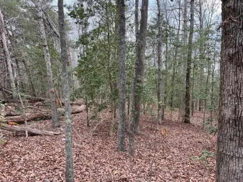 Toano, VA Wooded Lot