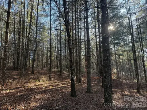 Nebo, NC Land Homesite