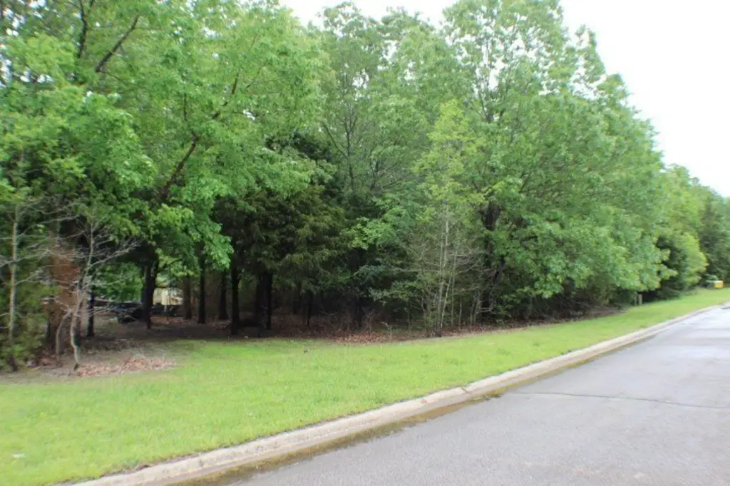 Picture 6