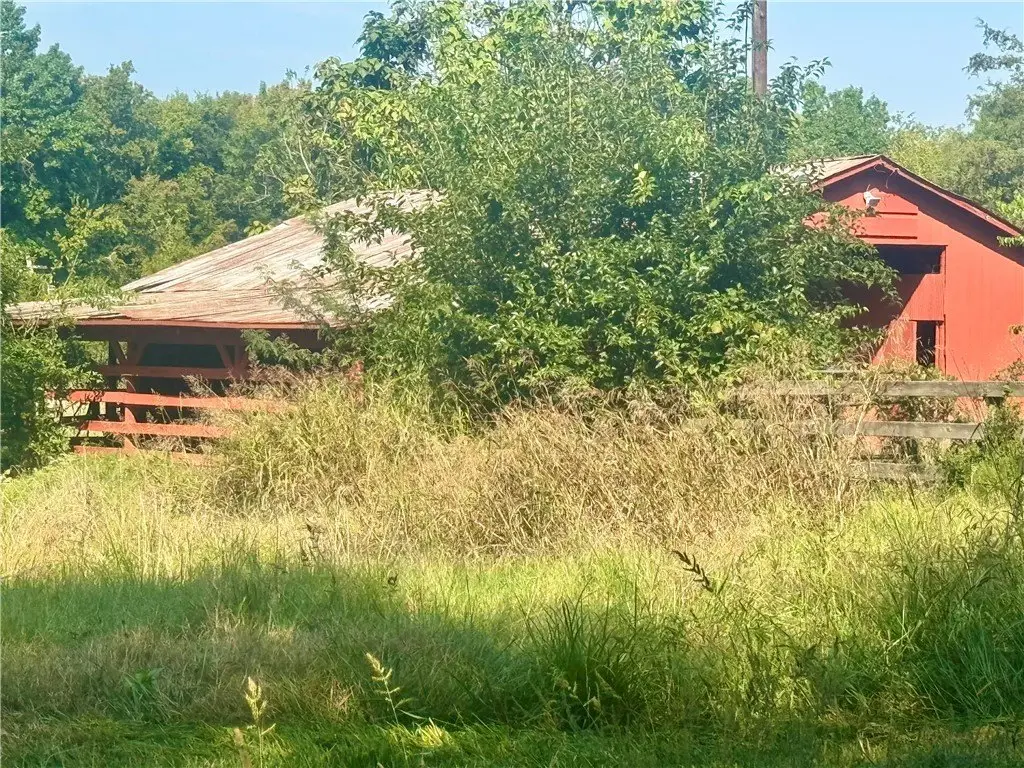 Picture 3
