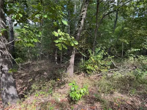 Wooded Lot in Bella Vista