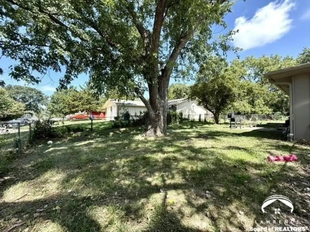 Picture 3