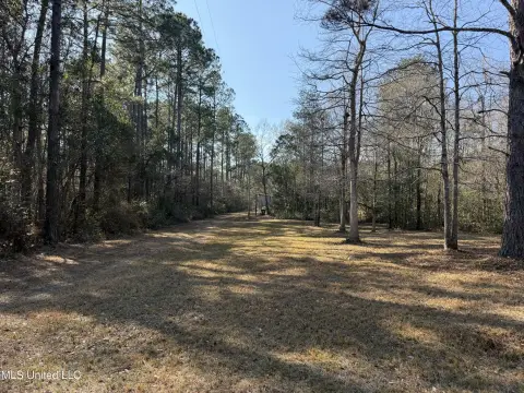 Scenic Acreage with Creek Access