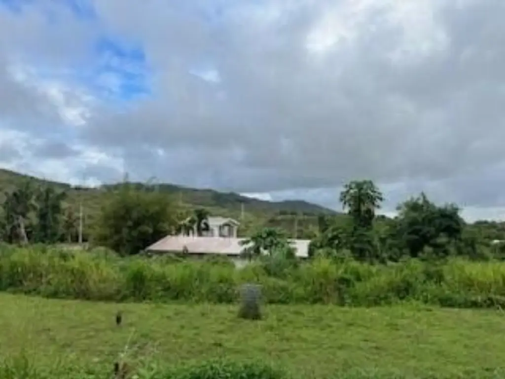 Picture 8