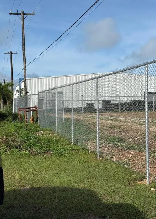 Picture 4