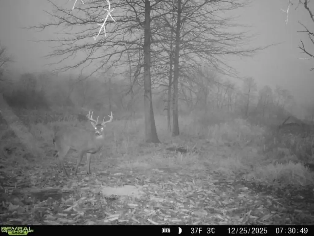Picture 12