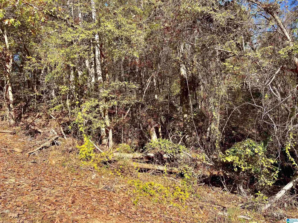 Picture 13