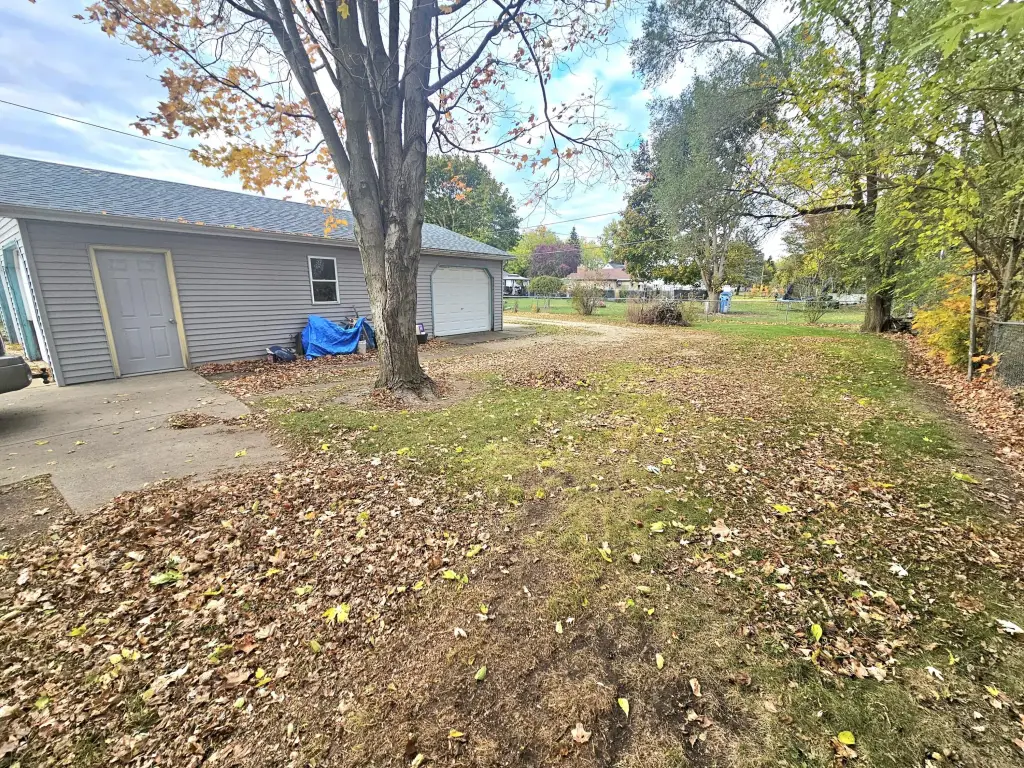 Picture 6