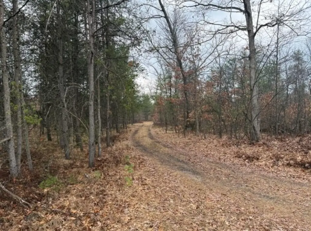 Picture 5