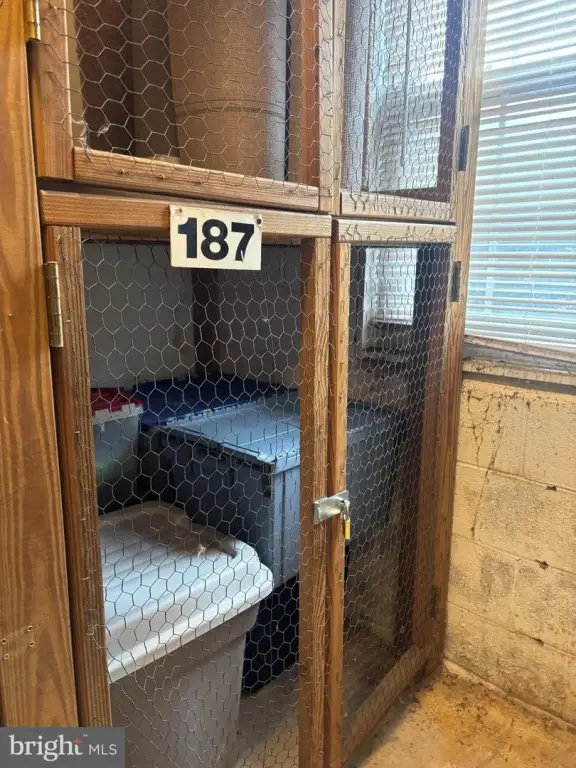 Picture 23