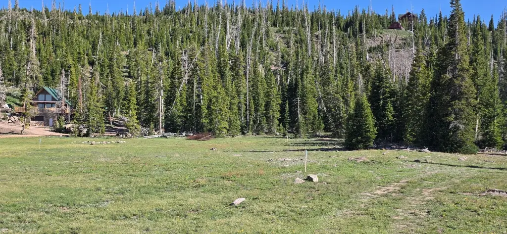 Picture 4