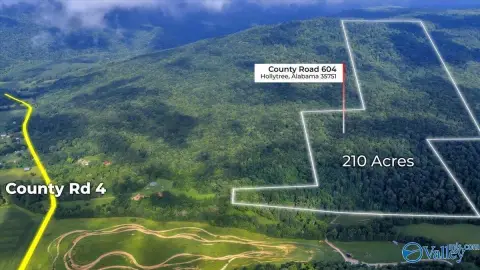 210 Acres Hunting & Recreational Land