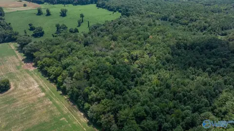 Wooded Acreage in Toney, AL
