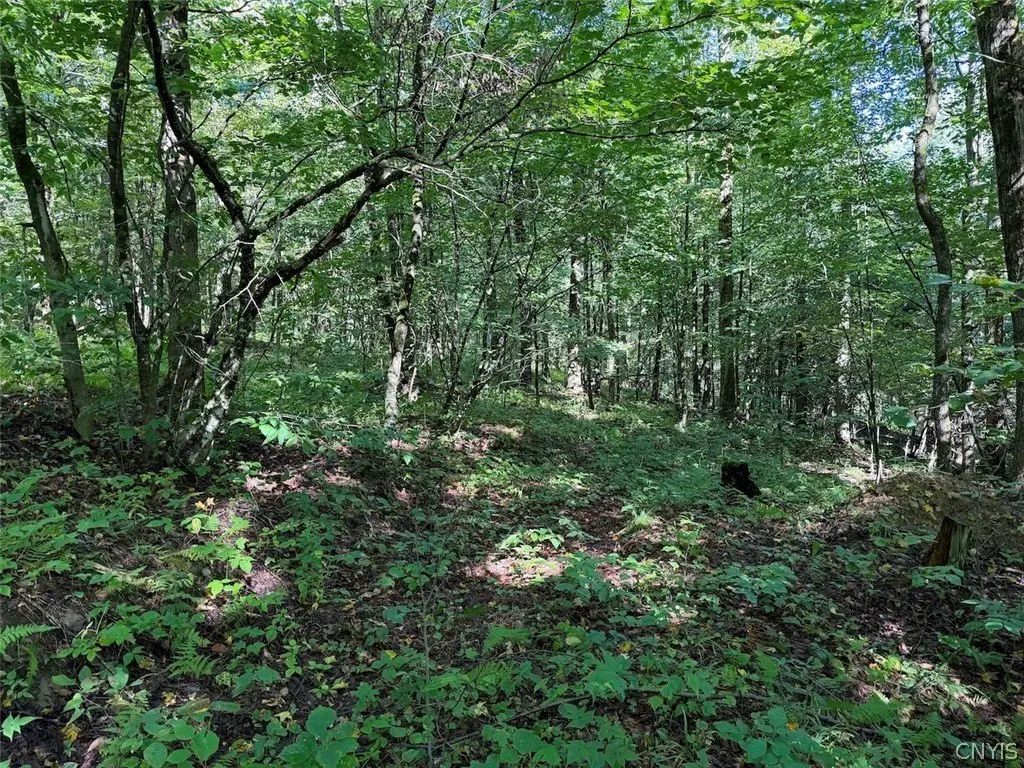 Picture 44